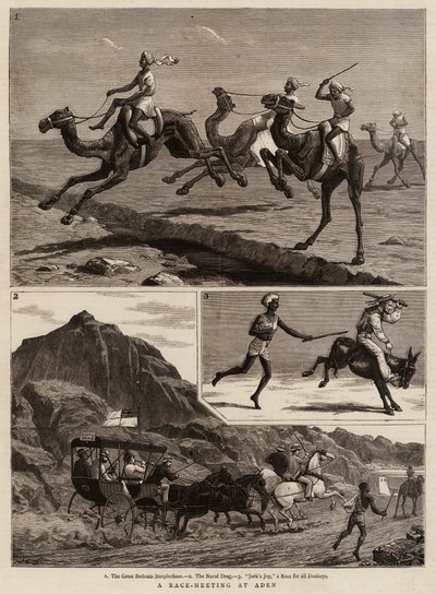 Una reunión de carreras en Adén de John Charles Dollman